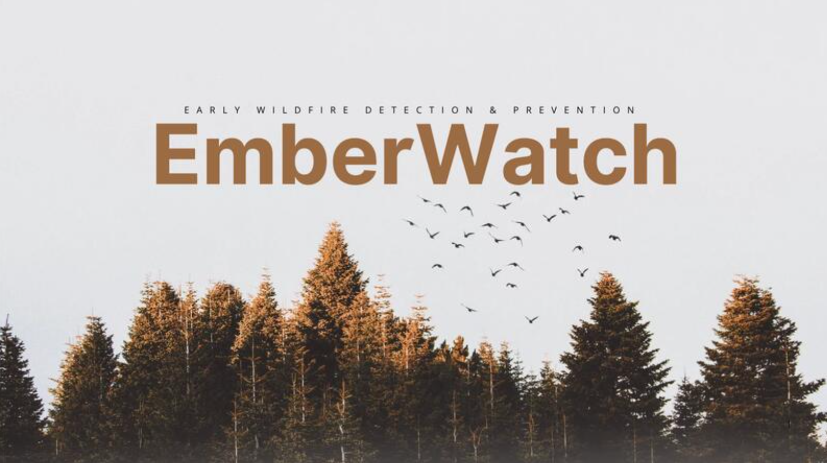 EmberWatch Project